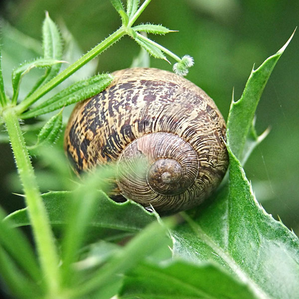 Slow Travel Blog - Sabbatical - LiNGER Travel