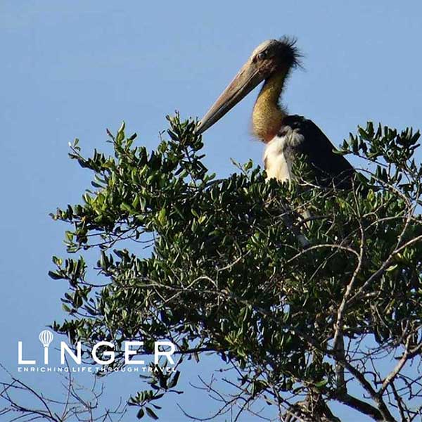 3 Things To Avoid On Sabbatical - LiNGER Travel