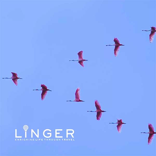 5 Essential Checks For A Smooth Sabbatical