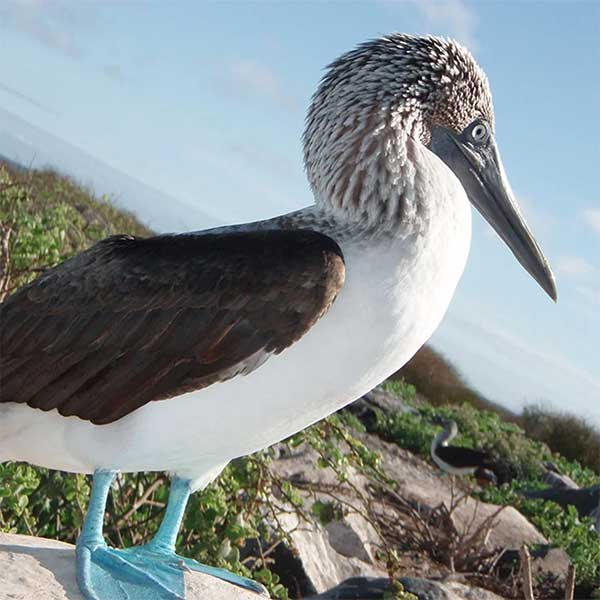 Responsible Travel - 5 Hotels Making A Difference In South America - LiNGER Travel