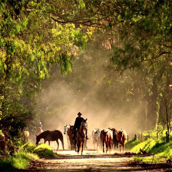 LiNGER Travel - Award-winning Creators Of Sabbaticals And Experiential Holidays - Gaucho riding at Hacienda Zuleta - Ecuador