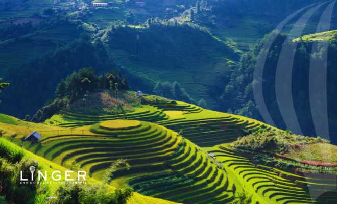 LiNGER Travel - Award-winning Creators Of Sabbaticals And Experiential Holidays -Vietnam