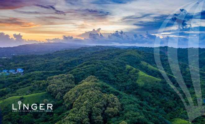 Tobago - Main Ridge Forest Reserve - rainforest - LiNGER Travel - award winning sabbaticals and experiential travel